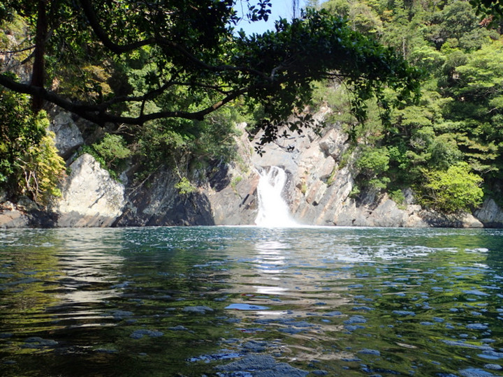 P4200043007 P4200043007