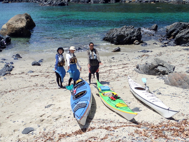 P4200064005 P4200064005