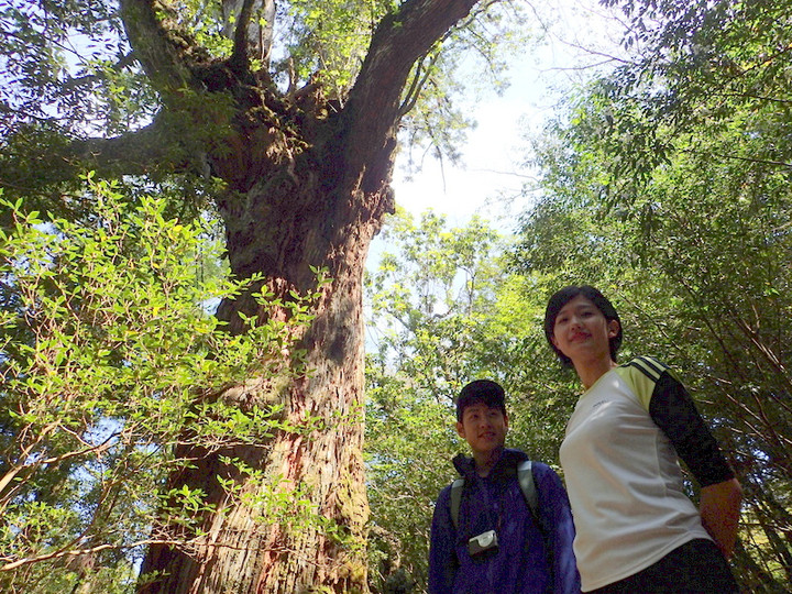 P4290026018 P4290026018