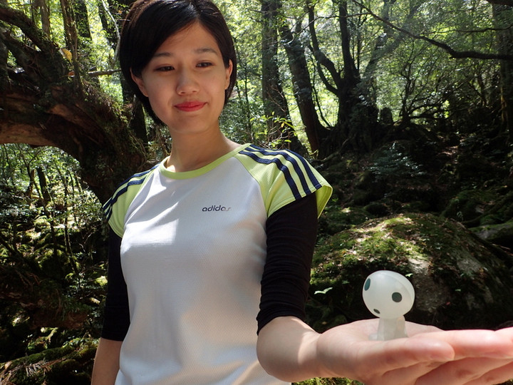 P4290030017 P4290030017