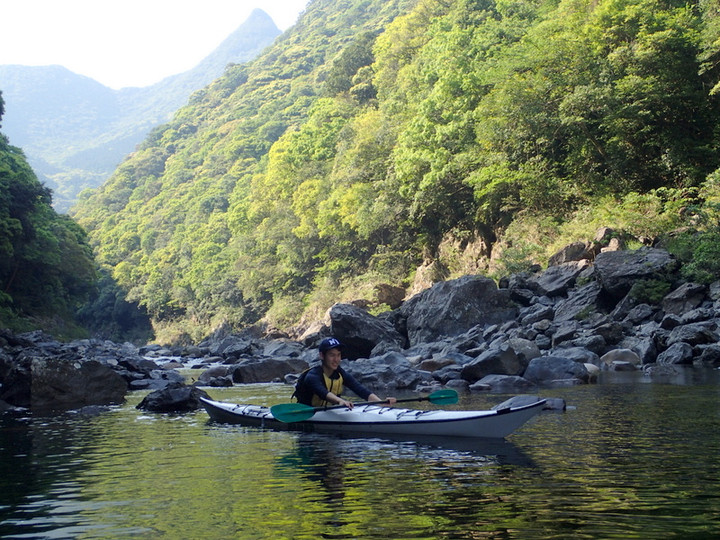 P4290090005 P4290090005