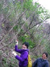 Tara_010