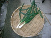 Sukiyaki_001