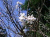 Sanpo_007