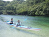 Sakuragi_029