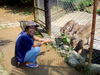 Iwasaki_008