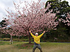 Sakura_001