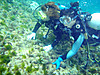 Ebikiti_028