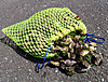 Todo_012