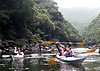 Shibata_109_2