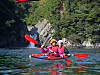 Tuji_048002_8