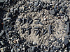 Tuji_074