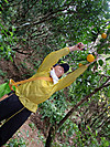 Hassaku_010