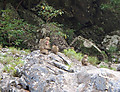 Nakahara_023