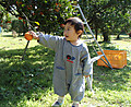 Ojiji_005