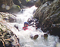 Kunii_123